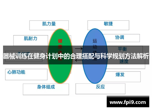 器械训练在健身计划中的合理搭配与科学规划方法解析